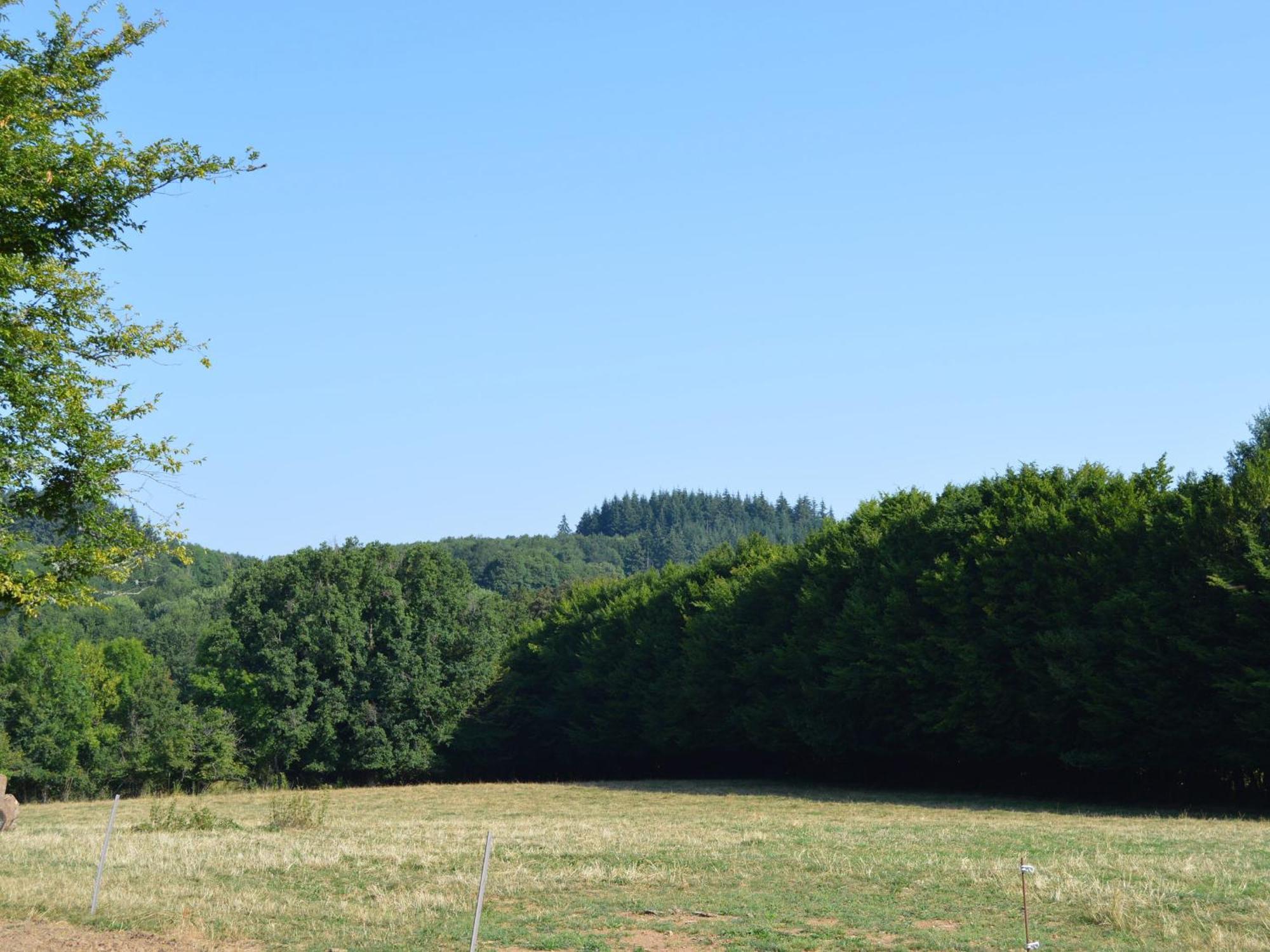 Вілла Grande Ferme Renovee Avec Jardin Et Loisirs A Proximite - Fr-1-591-155 Pouligny-Notre-Dame Екстер'єр фото